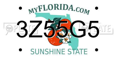 3Z55G5 Florida License Plate