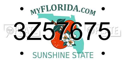 3Z57675 Florida License Plate