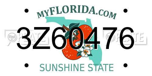 3Z60476 Florida License Plate