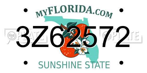 3Z62572 Florida License Plate