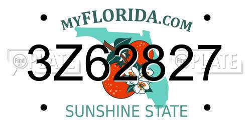 3Z62827 Florida License Plate