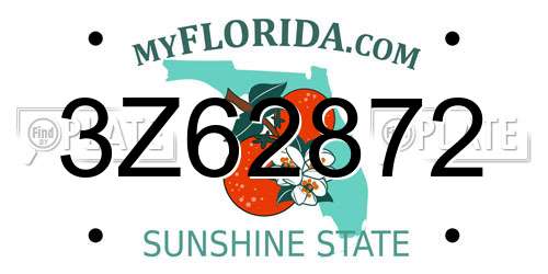 3Z62872 Florida License Plate