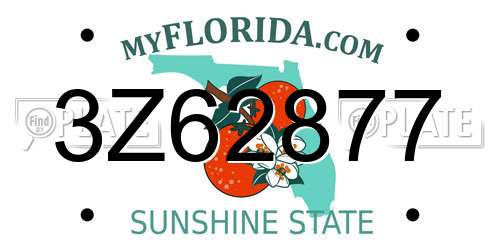 3Z62877 Florida License Plate