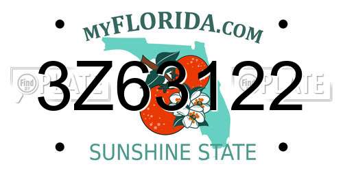 3Z63122 Florida License Plate