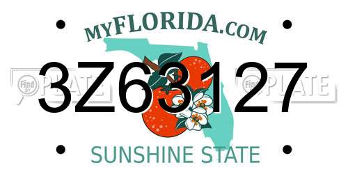 3Z63127 Florida License Plate