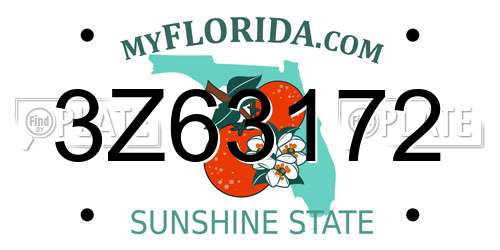 3Z63172 Florida License Plate