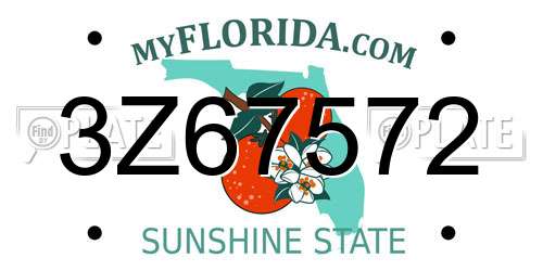 3Z67572 Florida License Plate