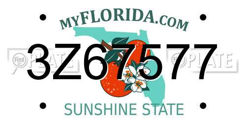 3Z67577 Florida License Plate