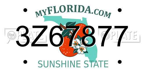 3Z67877 Florida License Plate