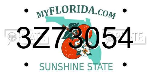 3Z73054 Florida License Plate