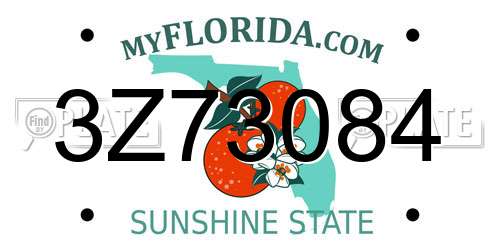 3Z73084 Florida License Plate