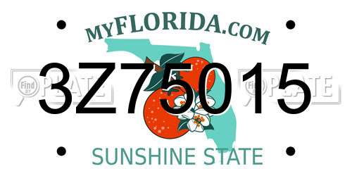 3Z75015 Florida License Plate