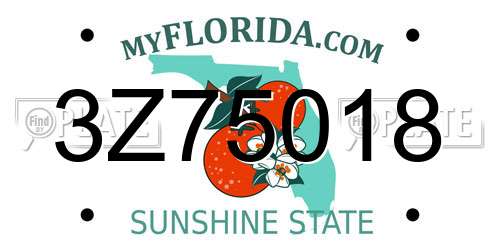 3Z75018 Florida License Plate