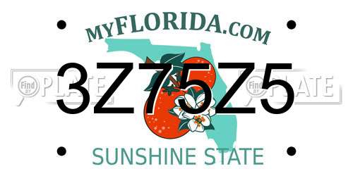 3Z75Z5 Florida License Plate