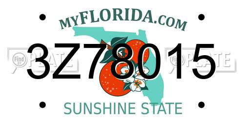 3Z78015 Florida License Plate