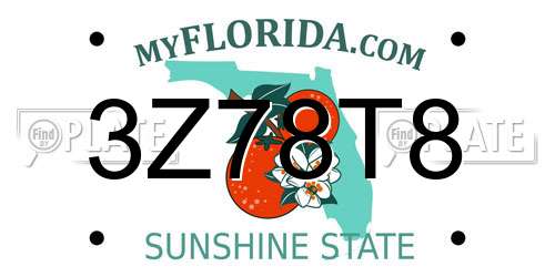 3Z78T8 Florida License Plate
