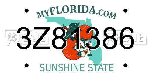 3Z81386 Florida License Plate