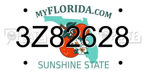 3Z82628 Florida License Plate