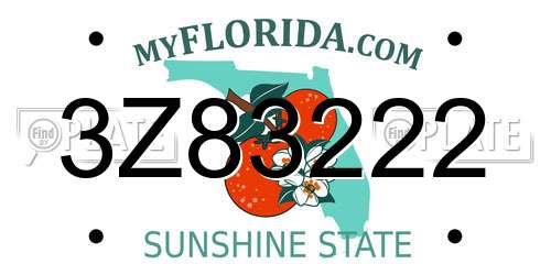 3Z83222 Florida License Plate