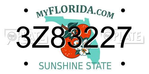3Z83227 Florida License Plate