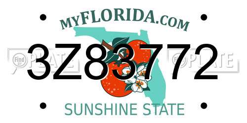 3Z83772 Florida License Plate