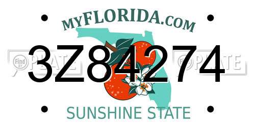 3Z84274 Florida License Plate