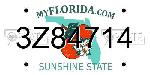 3Z84714 Florida License Plate