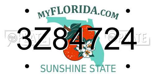3Z84724 Florida License Plate
