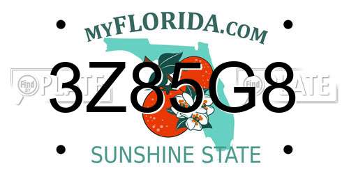 3Z85G8 Florida License Plate