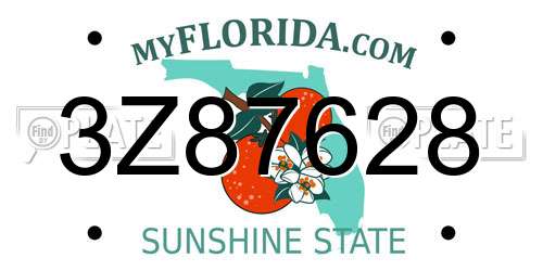 3Z87628 Florida License Plate
