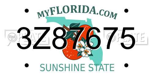3Z87675 Florida License Plate