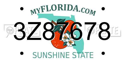 3Z87678 Florida License Plate