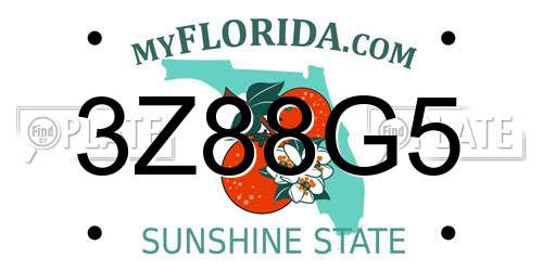 3Z88G5 Florida License Plate