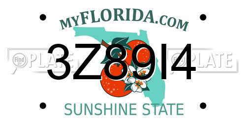 3Z89I4 Florida License Plate