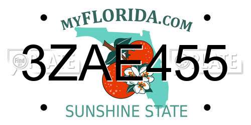 3ZAE455 Florida License Plate