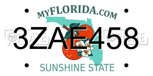 3ZAE458 Florida License Plate
