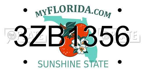 3ZB1356 Florida License Plate