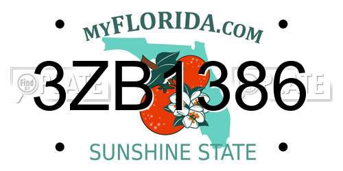 3ZB1386 Florida License Plate
