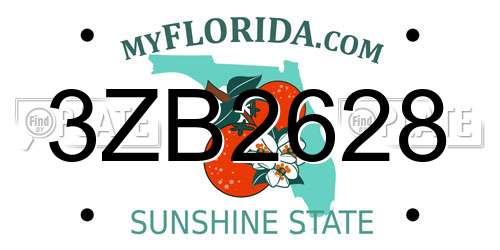3ZB2628 Florida License Plate