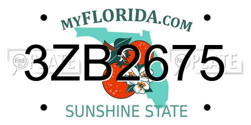 3ZB2675 Florida License Plate