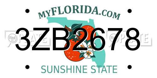 3ZB2678 Florida License Plate