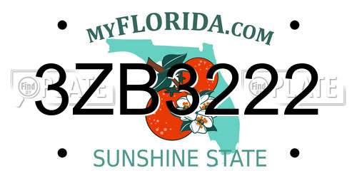 3ZB3222 Florida License Plate