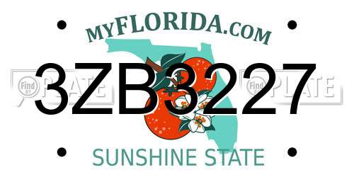 3ZB3227 Florida License Plate