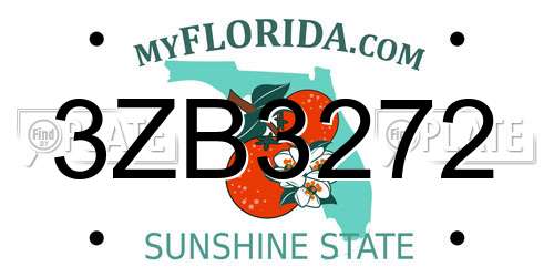 3ZB3272 Florida License Plate