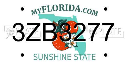 3ZB3277 Florida License Plate
