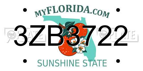 3ZB3722 Florida License Plate