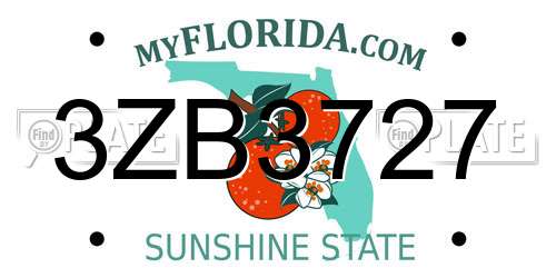 3ZB3727 Florida License Plate