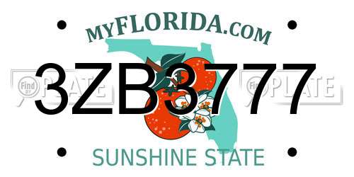 3ZB3777 Florida License Plate