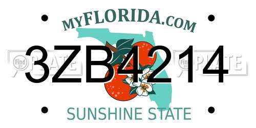 3ZB4214 Florida License Plate