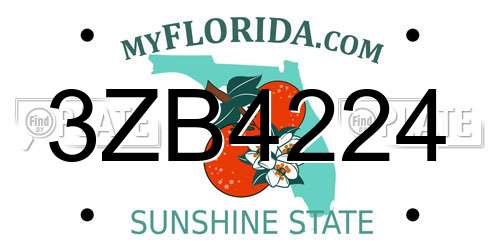 3ZB4224 Florida License Plate